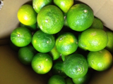 !cid_image006_png@01CDE305.png